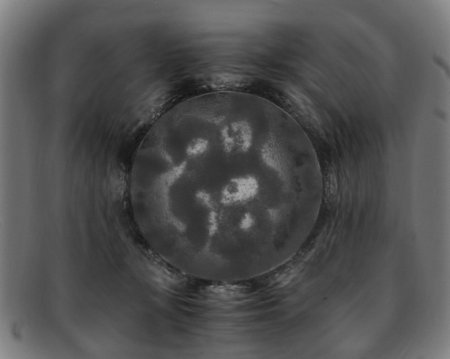 X0000091880367200709121418