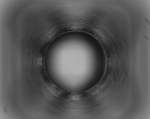 X0000091880368200709121418