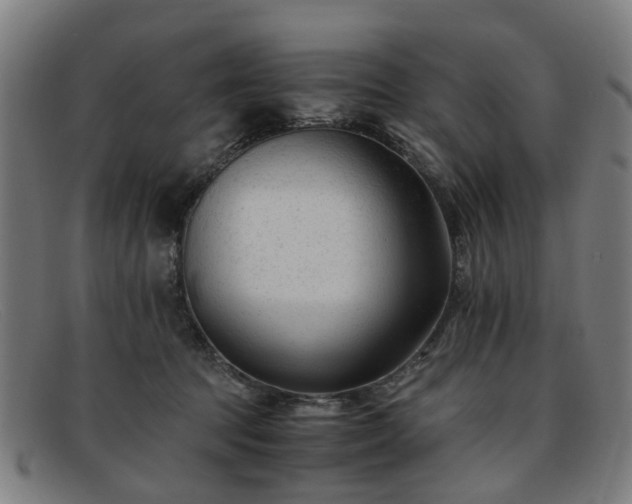 X0000091880369200709121418