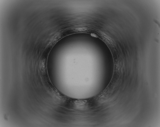 X0000091880373200709121418