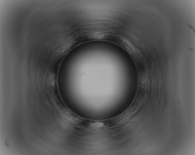 X0000091880374200709121418