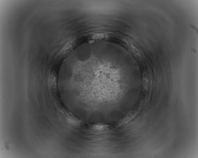 X0000091880375200709121418