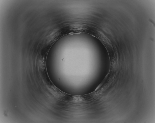 X0000091880376200709121418