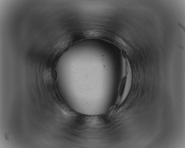 X0000091880377200709121418