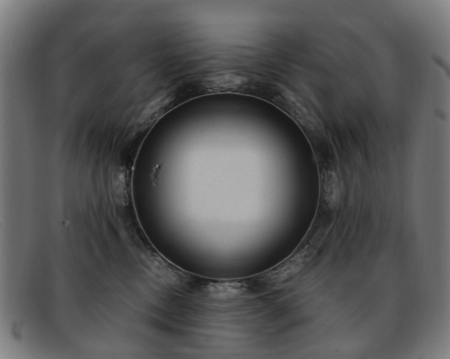 X0000091880378200709121418