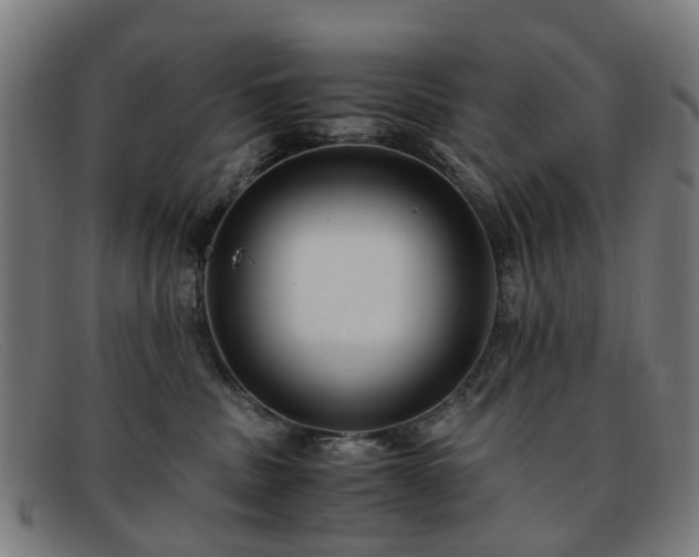 X0000091880379200709121418