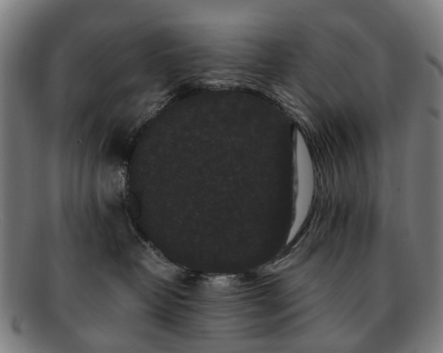 X0000091880382200709121418