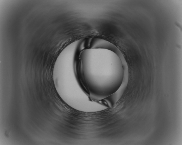 X0000091880384200709121418