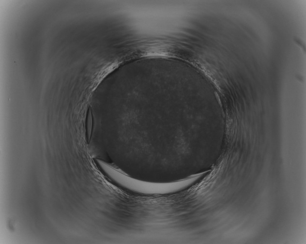 X0000091880385200709121417