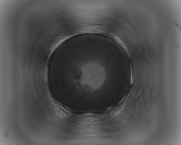 X0000091880387200709121417