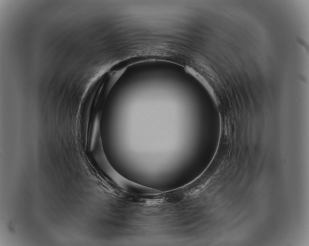 X0000091880388200709121417