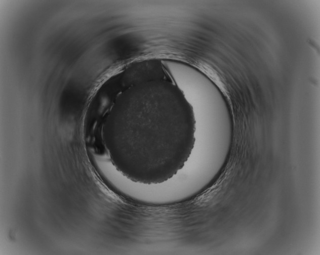 X0000091880389200709121417