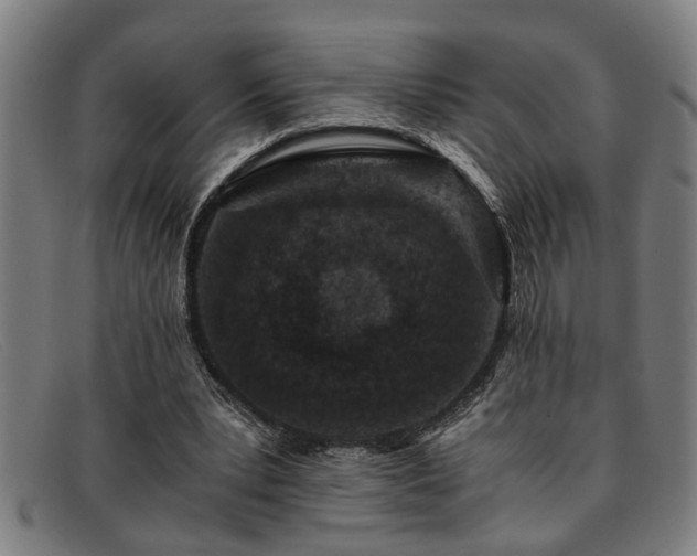 X0000091880391200709121417