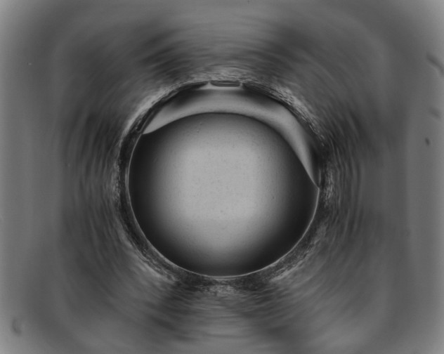 X0000091880392200709121417