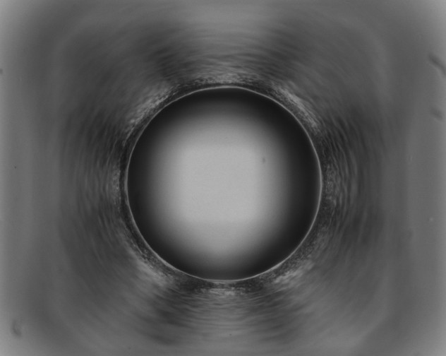 X0000091880394200709121417