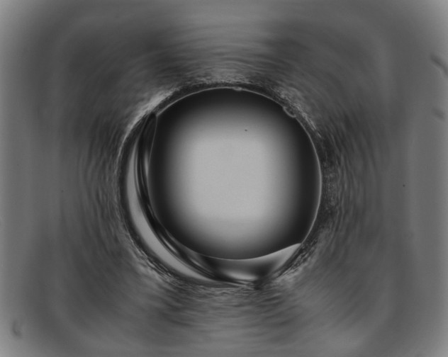 X0000091880395200709121417