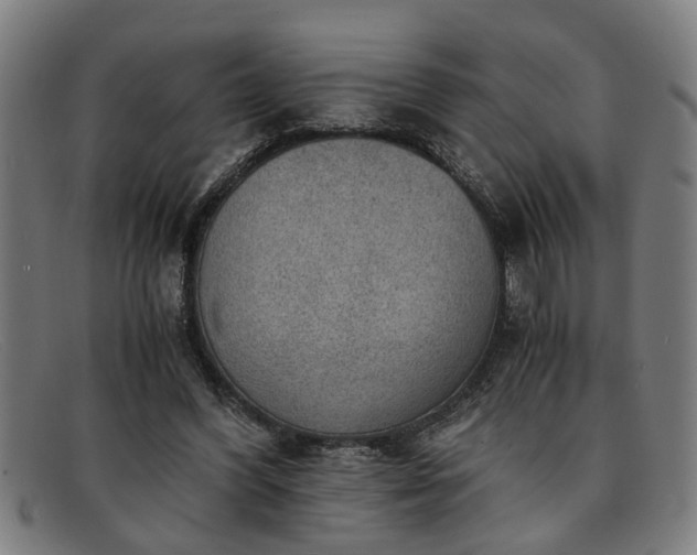 X0000091880396200709121417