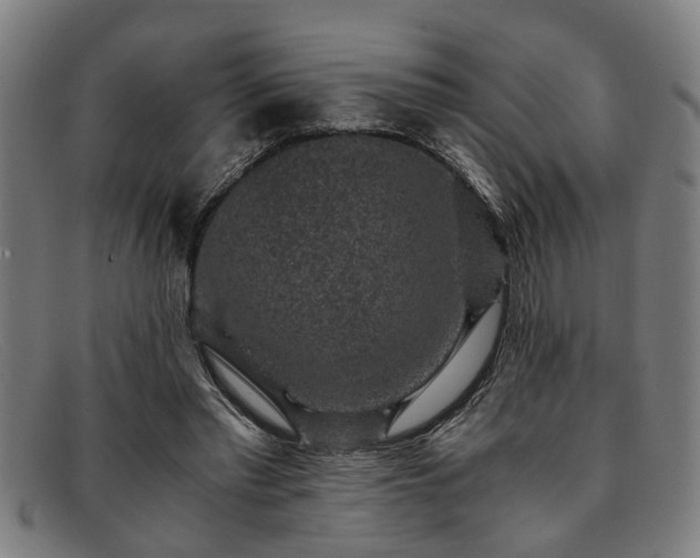 X0000091880397200709121417