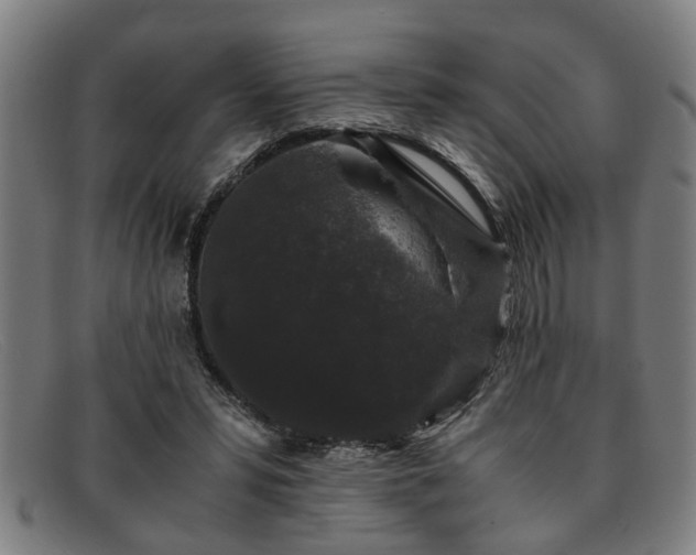 X0000091880399200709121417