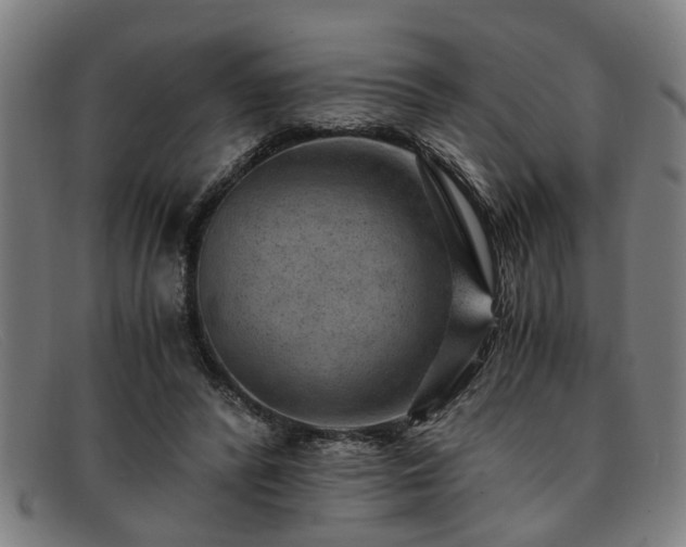 X0000091880400200709121417