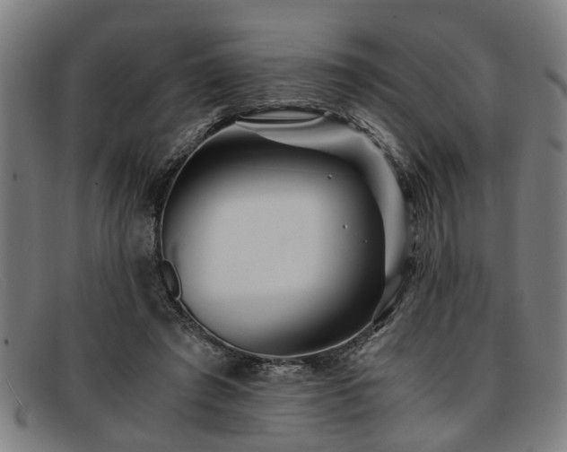 X0000091880401200709121417