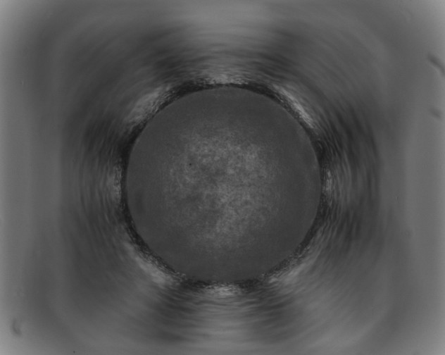 X0000091880402200709121417