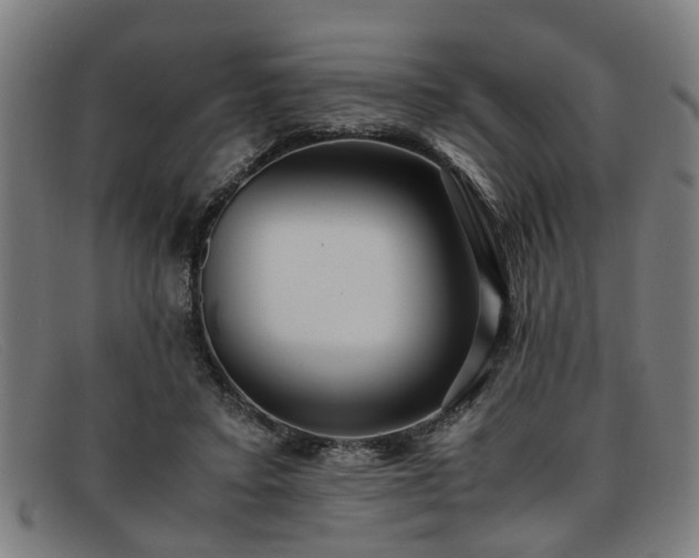 X0000091880403200709121417