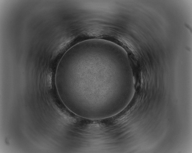 X0000091880404200709121417