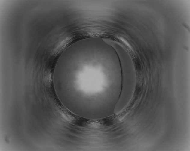 X0000091880405200709121417