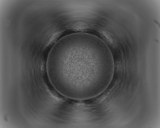 X0000091880408200709121417