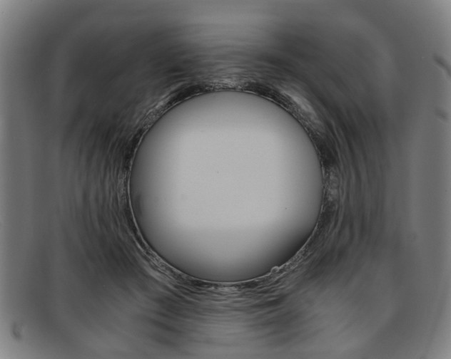 X0000091880409200709121417