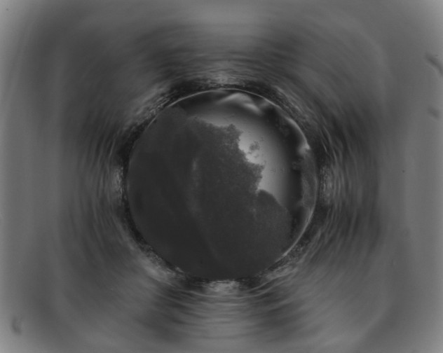 X0000091880410200709121417