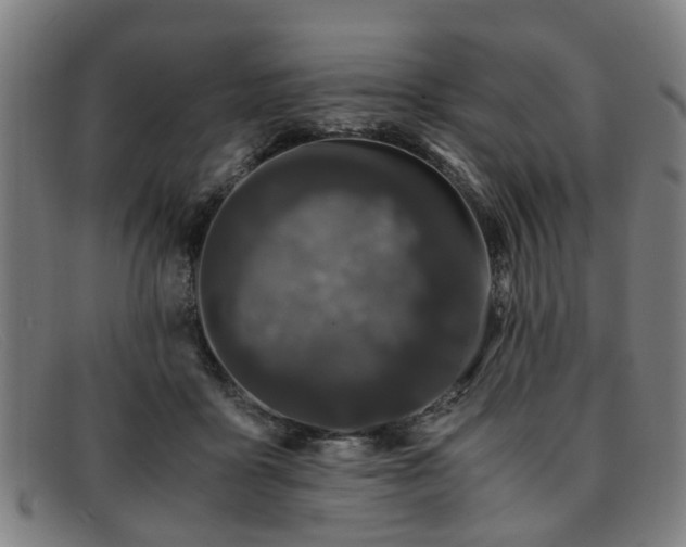 X0000091880411200709121417