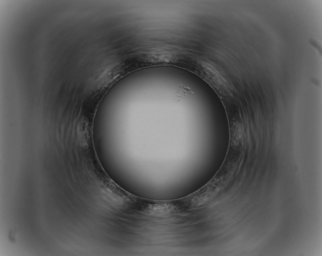 X0000091880414200709121417