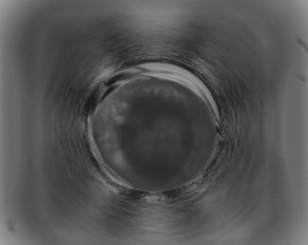 X0000091880415200709121417