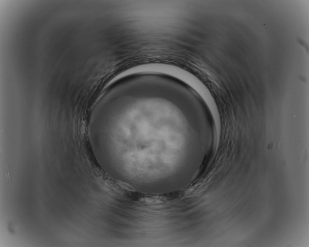 X0000091880417200709121417