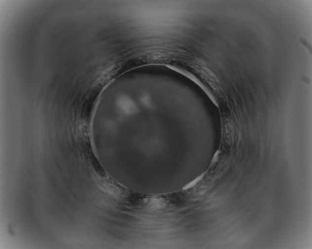 X0000091880419200709121417