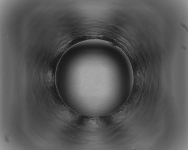 X0000091880420200709121417