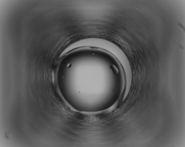 X0000091880421200709121417