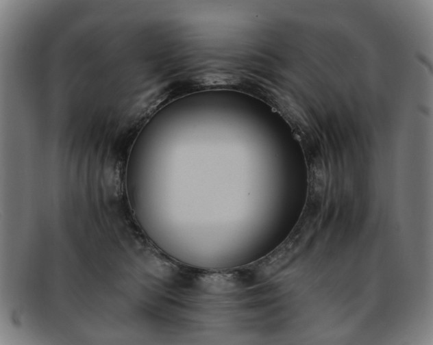 X0000091880422200709121417