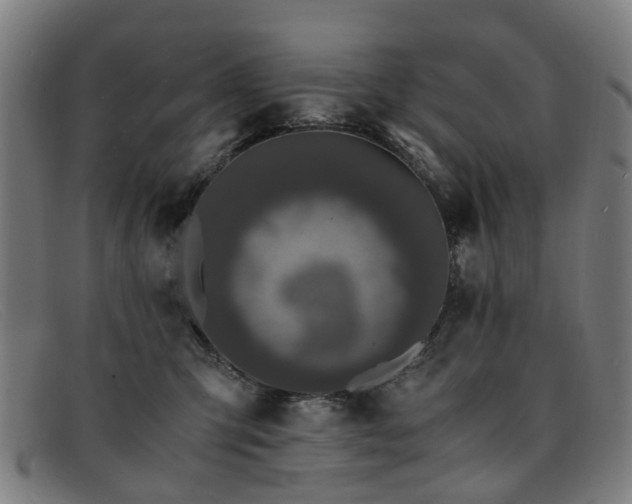 X0000091880423200709121417