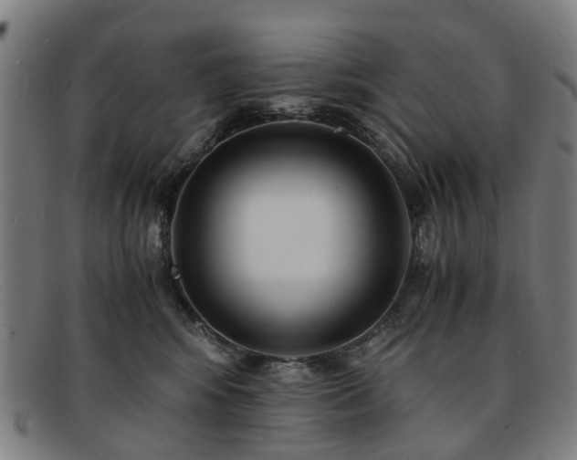 X0000091880424200709121417