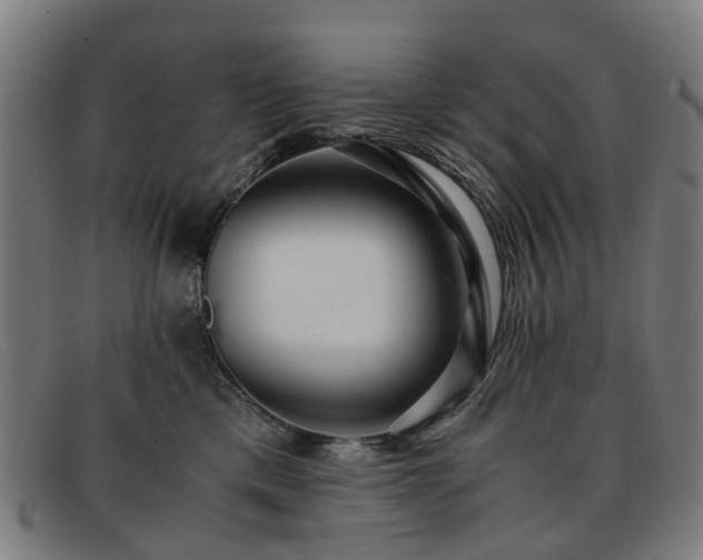 X0000091880425200709121417