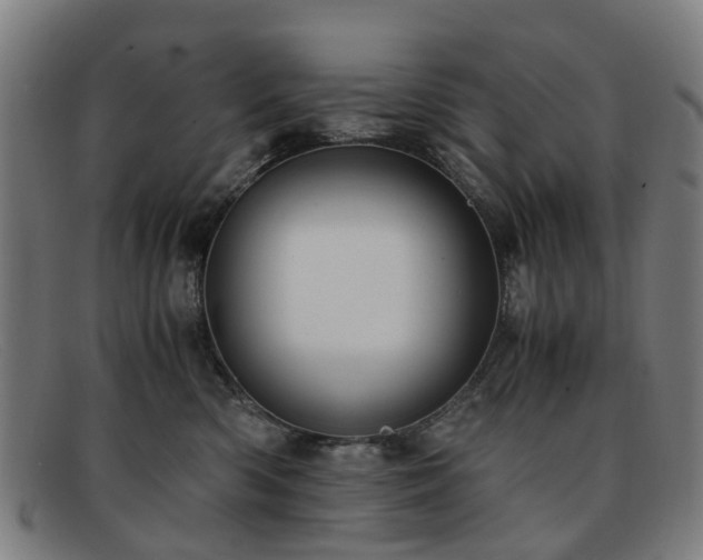 X0000091880426200709121417