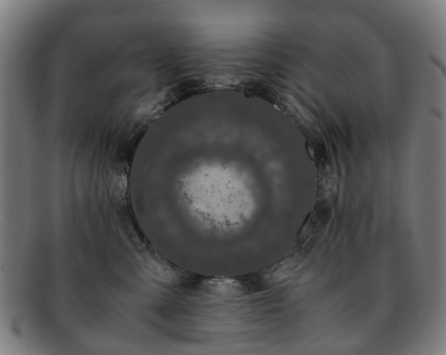 X0000091880427200709121417