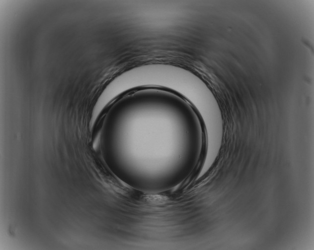 X0000091880429200709121417