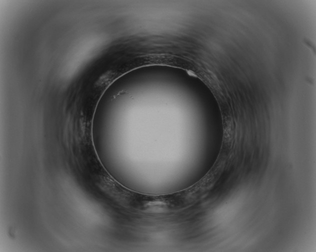 X0000091880430200709121417