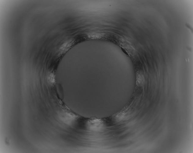 X0000091880431200709121417