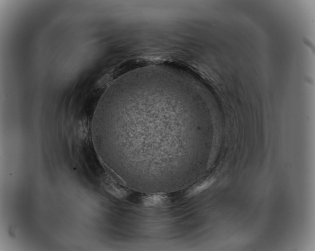 X0000091880432200709121417