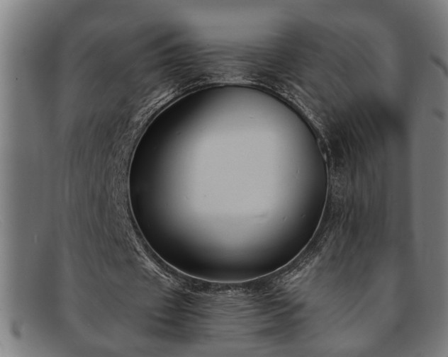 X0000091880433200709121416